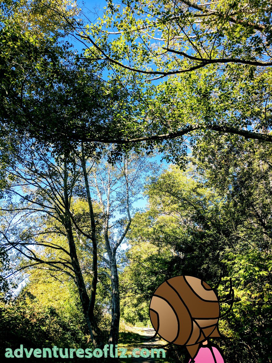 GummyBearBooks's tweet photo. DEAS SLOUGH, RICHMOND, B.C. CANADA

https://t.co/pUur1KZHiA
https://t.co/nnMquRfmIL 
https://t.co/1A0aagYm97

#Park #Canada #NorthAmerica #PlanetEarth #Family #Friends #Fun #Trails #Hiking #Wild #Woods #Wildlife #Lakes #Nature #Art #ChildrensBooks #Adventure #GoodHealth #Cartoon https://t.co/mBnDsTYaIy