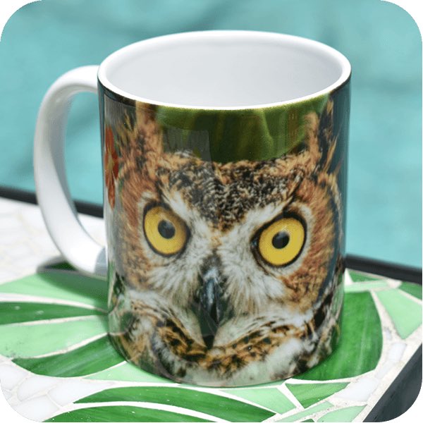 PRWILDLIFE's tweet photo. Ceramic Coffee Mugs make great gifts. We have a selection for everyone's taste. Get one of each now!

Shop the PRWC Store without leaving your house -->> https://t.co/DP4fa0TnGJ

#coffee #coffeemugs #wildlife #wildliferehab #wildliferescue #shop #gifts #giftstore #giftideas #owls https://t.co/6QC7l6fH7k