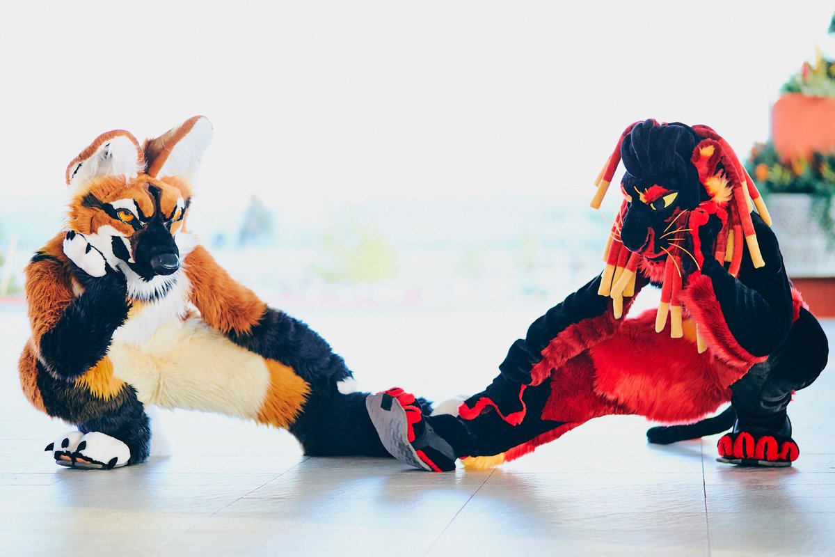aymstel's tweet photo. Leggy leggy leggy, stick it way out. w @ManedBark , photo by @DougTheHusky https://t.co/O5QYdEXcJ5