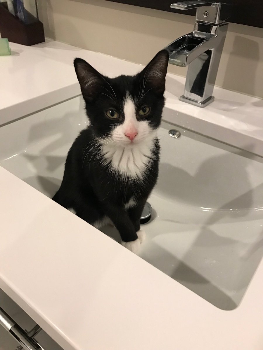 Janice Robinson (@janicemrobinson) on Twitter photo 