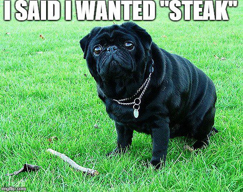 Pugataur's tweet photo. #pugs #pugslife #puglife #puggy #lovesteak https://t.co/Jq4IMsJSEV