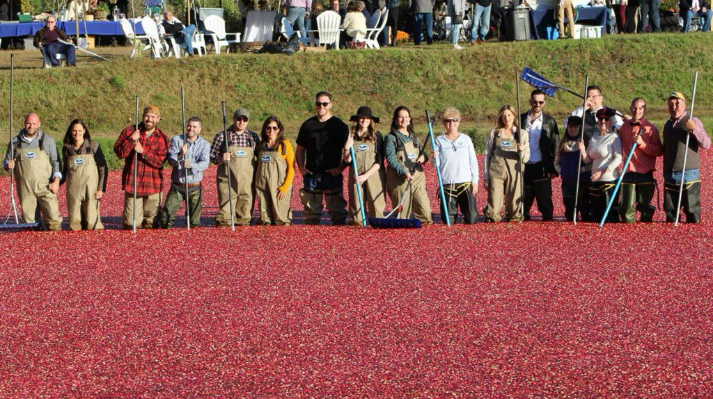 WCVB's tweet photo. 5 for Good: Plympton cranberry farmer supports local residents in recovery https://t.co/cRVd5BpJsG https://t.co/d0OrHG6qsp
