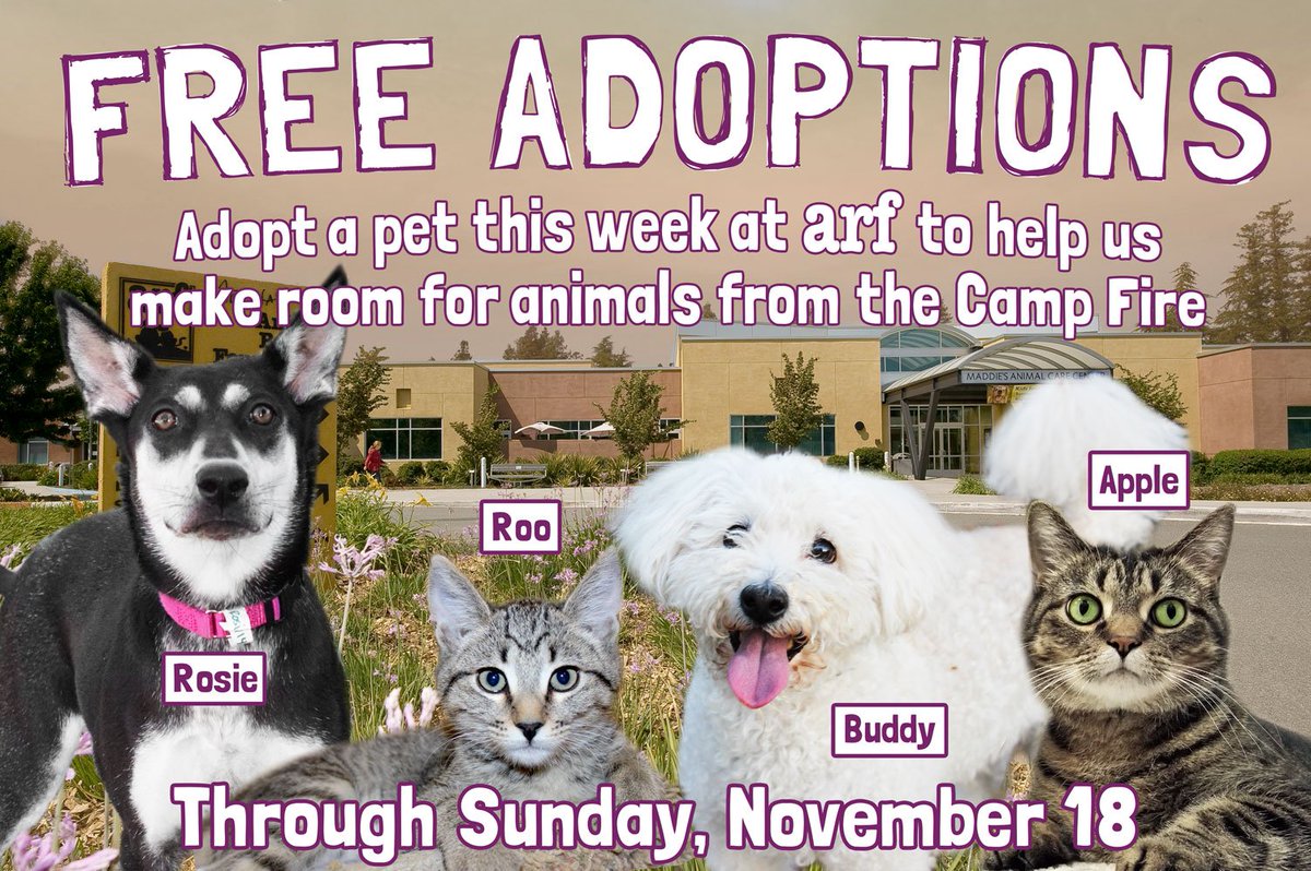 Announcing FREE ADOPTIONS this week!
As ARF begins to take in adoptable animals from shelters in #CampFire-affected areas, we need your help to clear space. If you've been thinking about bringing home a dog, cat, puppy, or kitten for the holidays, this is your perfect chance!