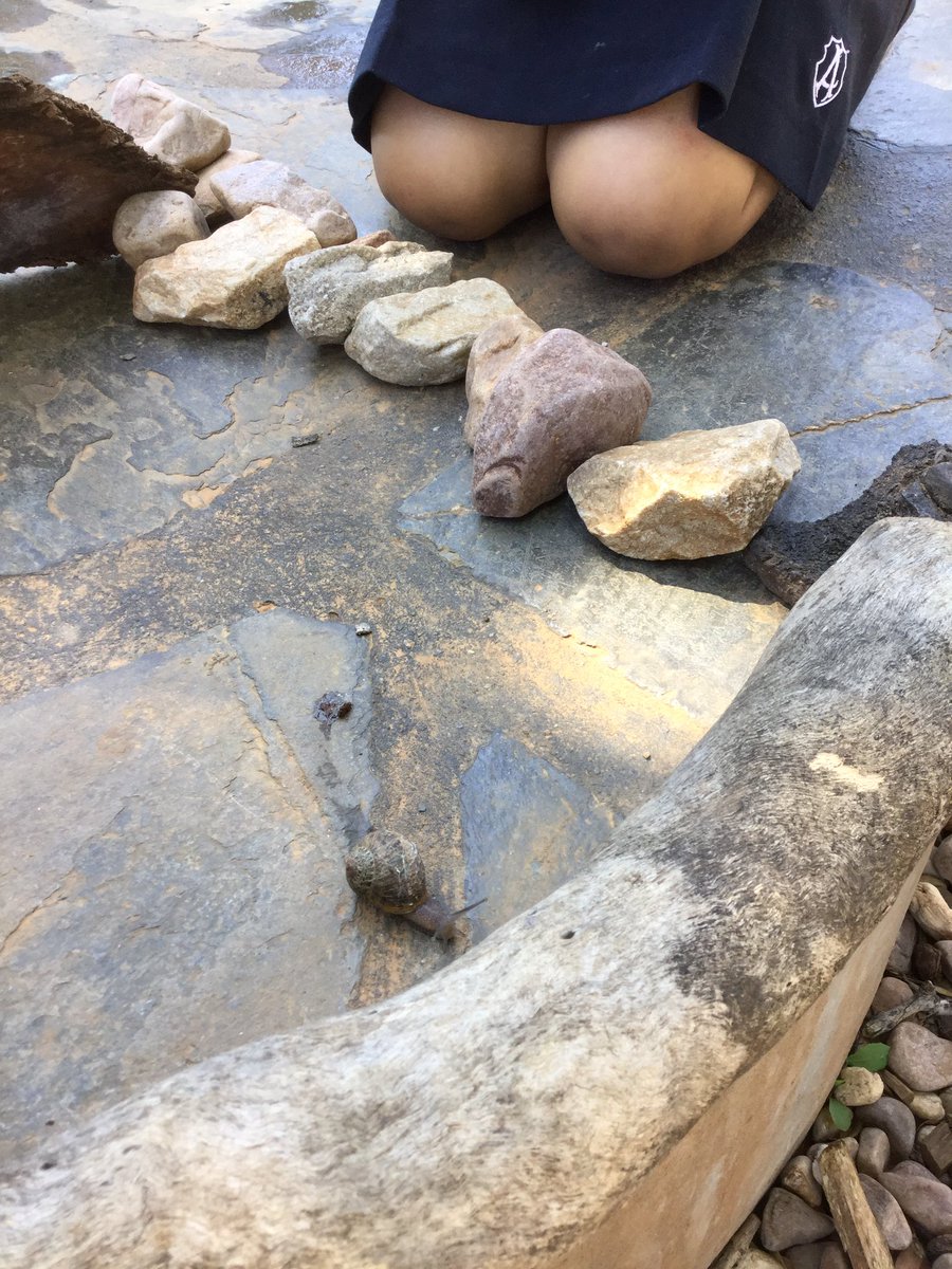 #observing and #pondering the #movements of a snail found in the #natureplay space @AnnesleySA #WattleRoom