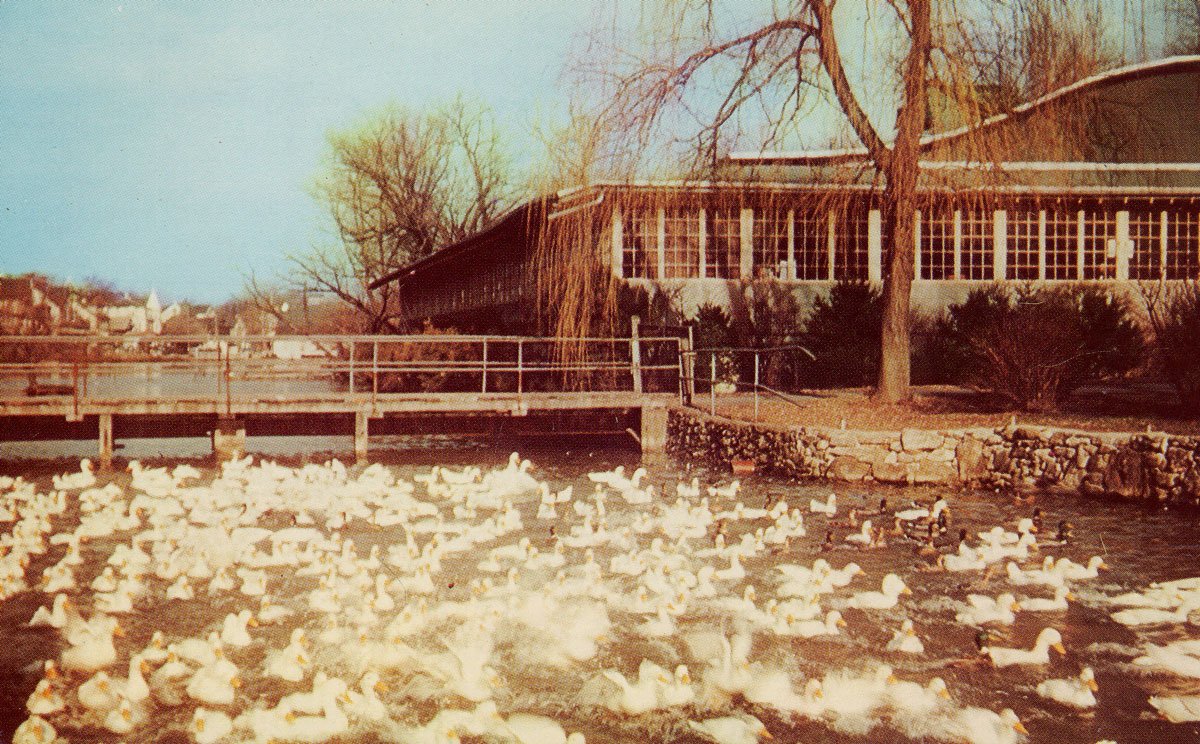 DorneyParkPR's tweet photo. #ThrowbackThursday to Castle Gardens in the Spring.... and the white wasn't from the #firstsnow, it was all those the ducks!
.
.
.
#DPHistory #TBT #snowday https://t.co/5jWvKYnDmt