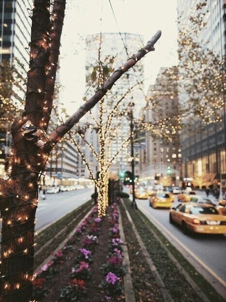 pedrodanielrs's tweet image. Voy a pasar esta Navidad en NY y pues soy la persona más feliz de la vida. ❤️😭❄️🗽

#37DaysToGo