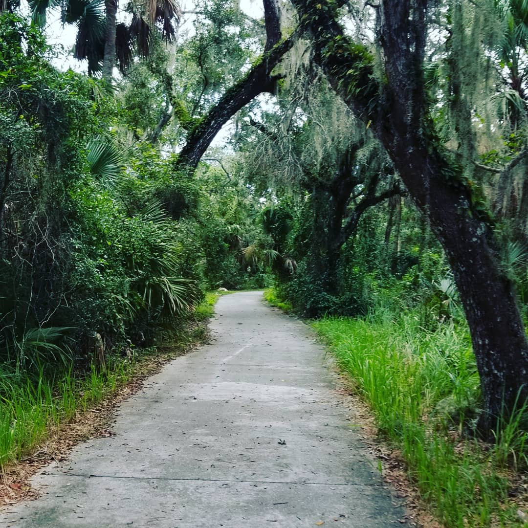 Greenway_Brent's tweet photo. Views from the @ECGreenway between St. Augustine & Daytona #WAY18 @VISITFLORIDA https://t.co/9t7CPwexaC