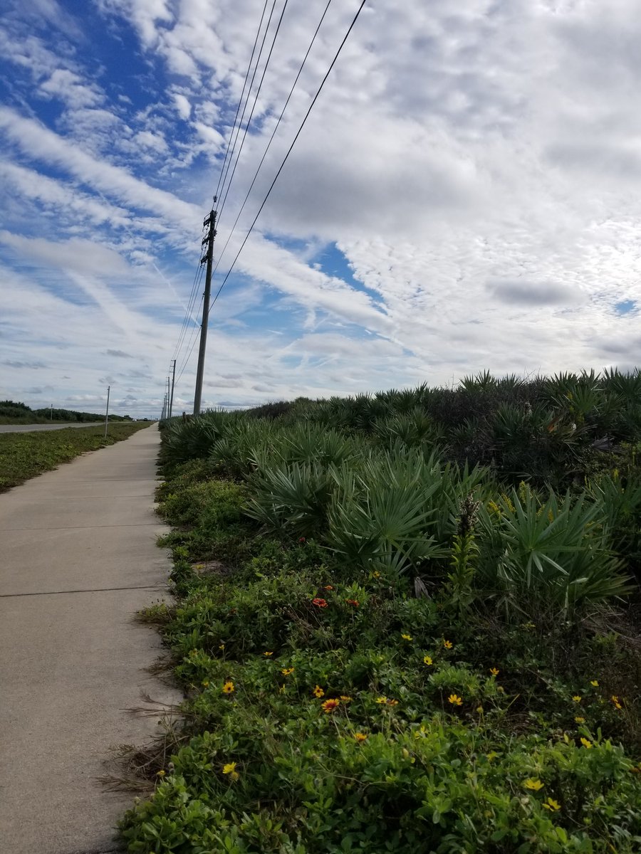 Greenway_Brent's tweet photo. Views from the @ECGreenway between St. Augustine & Daytona #WAY18 @VISITFLORIDA https://t.co/9t7CPwexaC