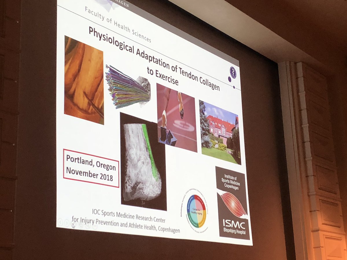 Karin G Silbernagel On Twitter Michael Kjaer Speaking At