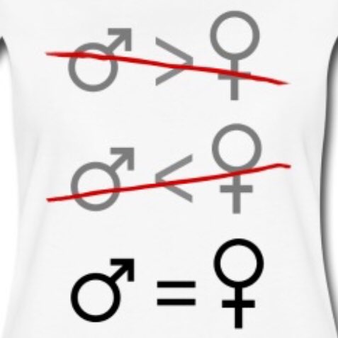EM203adamvanko1's tweet photo. A simply solution to gender inequality. Treating everyone as equals #EM203Alexandar https://t.co/RWgaiYsMHn