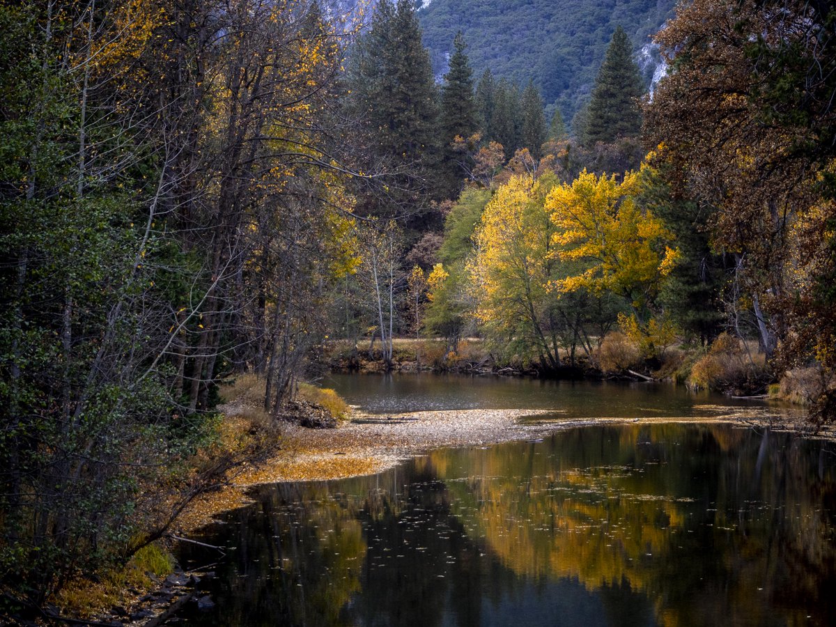 River surrounded by trees, some with fall colors