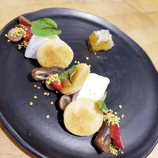 Its happy hour all night tonight in our bar and lounge. Come celebrate the start of the season with out tree lighting ceremony @americanabrand ift.tt/2DGXnzy