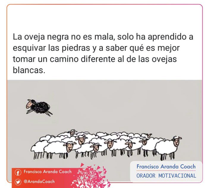 Francisco  Aranda tweet media