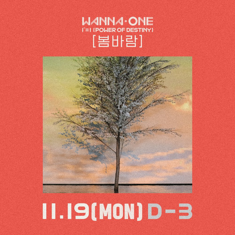 WannaOne_twt's tweet photo. Wanna One l 워너원 <봄바람> D-3

Wanna One “1¹¹=1(POWER OF DESTINY)”
TITLE TRACK '봄바람'
2018.11.19 6PM Release

#WannaOne #워너원 #20181119 #POWEROFDESTINY #봄바람 https://t.co/lKP0JWhuDc