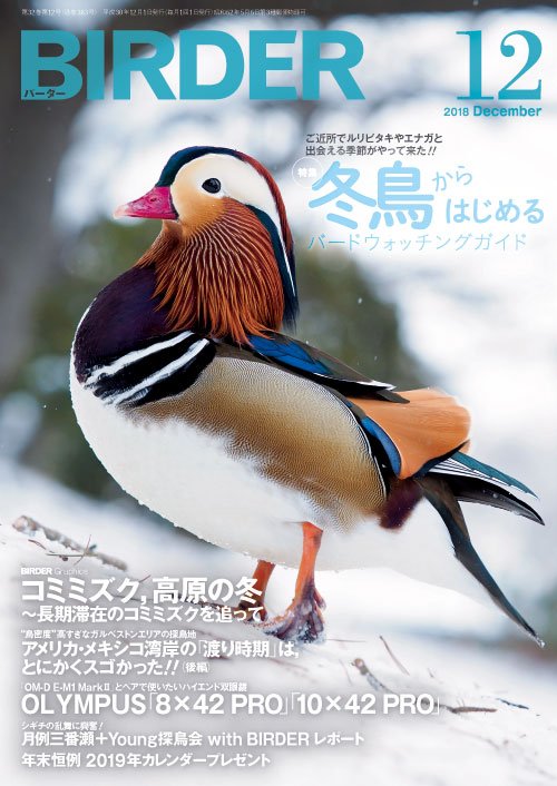 野鳥たちの姿が見やすくなる冬に、野鳥観察を始めてみませんか？11月16日発売【#BIRDER（バーダー）2018年12月号｜冬鳥からはじめるバードウォッチングガイド】 