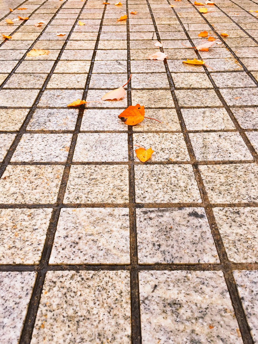 “La lluvia tiene un vago secreto de ternura,
algo de soñolencia resignada y amable”
—Federico García Lorca

Bon dia! Calma amb colors de tardor després de les pluges d’ahir.
#poesia🍂