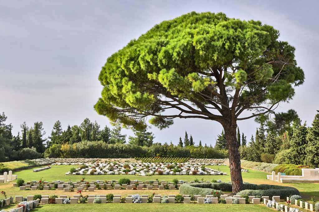 Day 87-88: Driving around WW1 War Graves, Gallipoli ourbumble.com/day-87-88-driv…