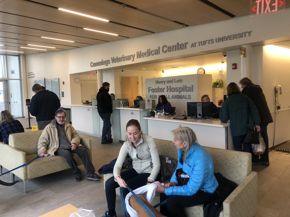 Always something interesting going on at <a href="/tuftsvet/">Cummings School of Veterinary Medicine 🐕🐈🐴🐄🦅</a> ...sharing pics from our Grafton campus and from <a href="/ChrisWhittier/">Chris Whittier💚</a> whose work brought him to Africa today.#TuftsDayInTheLife