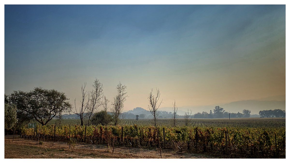 fire_fly_films's tweet photo. One of my favorite activities, besides films, food and wine, is wine country exploration Part 2! π #napavalley #nvff18 π Photos by #christinavarotsisphotography @fire_fly_films https://t.co/1SaZupTHWm