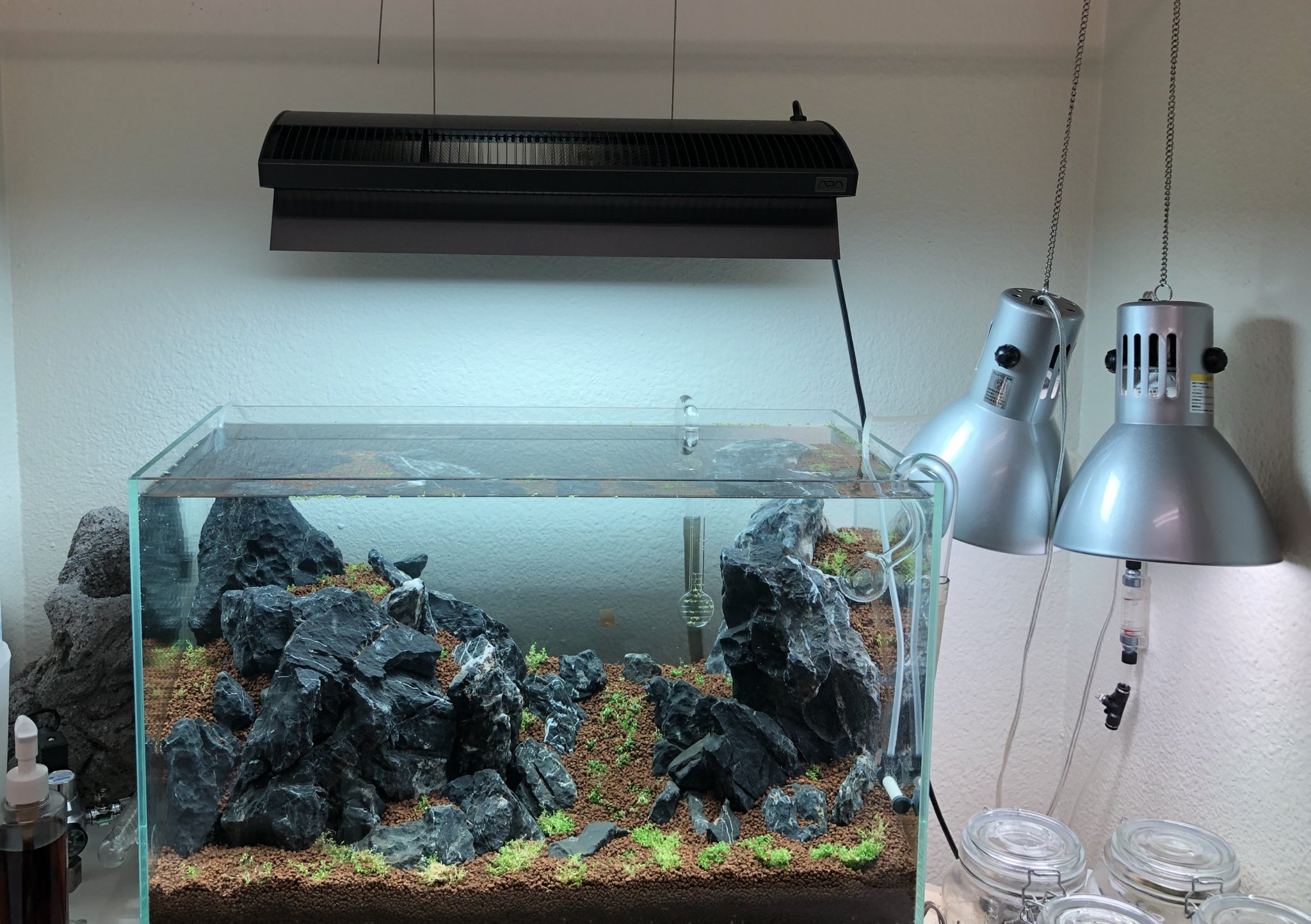 Sum 犬と水槽 サバチャン 龍王石キロ使った60センチ石組みでしたが硬度 が調整出来ず 計測した訳ではない 苔まみれになりリセットした水槽でした レイアウトは気に入ってたんだけど石組みは難しいですね 良い勉強になり