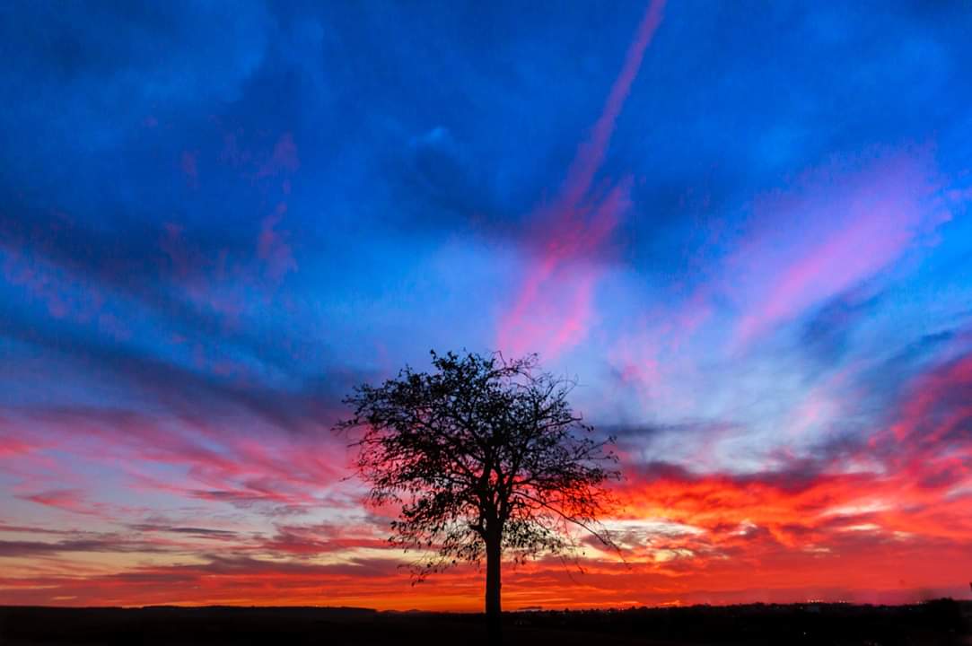tonydpostman's tweet photo. Sillouette time with tonight's sunset.
#sandiego #sunset #sillouette #sunsetburn #epic #10news #waysandiego #canon #canonusa #canonphoto #canonfavpic #canon7d @10NewsParry https://t.co/xOjQEo4HXT