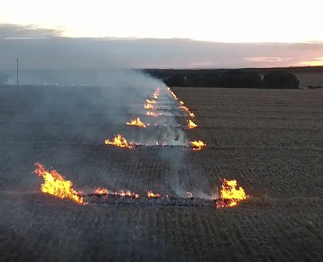 AccufireJohn's tweet photo. Accufires Broadacre Firelighter strikes a chord with graingrowers Australia wide. I wonder if there's interest in the Americas?#hwsc #narrowwindrowburning
Watch the clip.
https://t.co/Q6EFnWmgWO https://t.co/olr7yUr9Bn