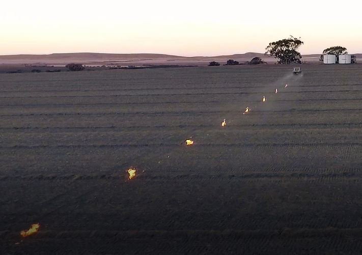 AccufireJohn's tweet photo. Accufires Broadacre Firelighter strikes a chord with graingrowers Australia wide. I wonder if there's interest in the Americas?#hwsc #narrowwindrowburning
Watch the clip.
https://t.co/Q6EFnWmgWO https://t.co/olr7yUr9Bn