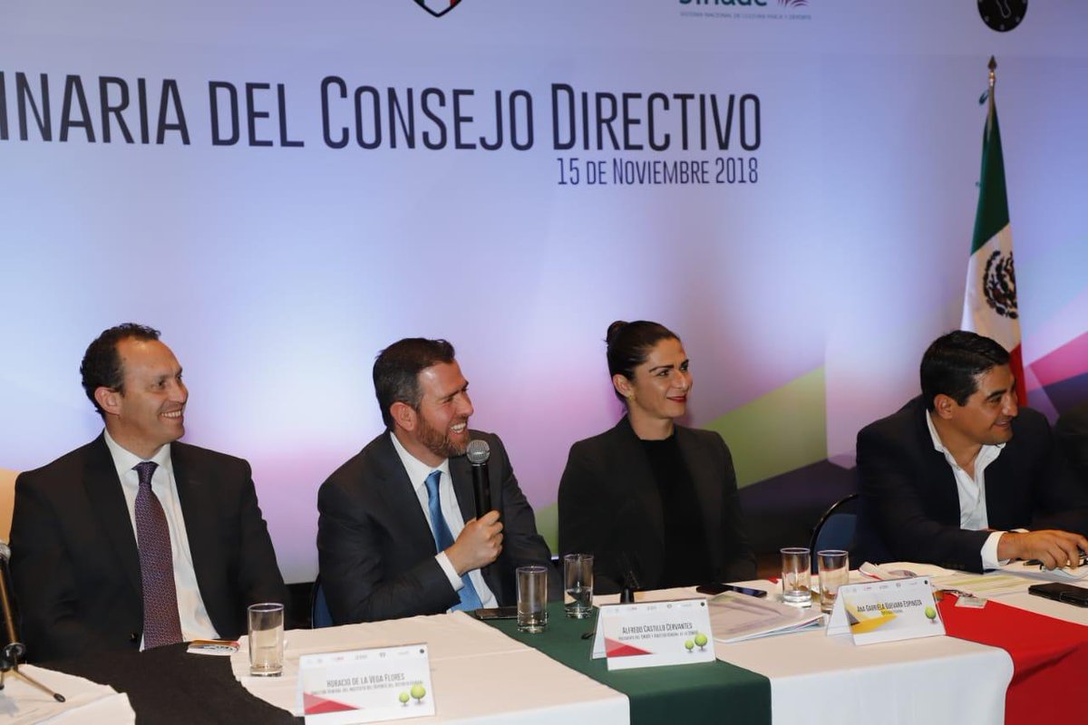 ACC_Castillo's tweet image. Hoy comenzaron los trabajos del Sistema Nacional de Cultura Física y Deporte (#SINADE) con la presencia de @AnaGabrielaGue, próxima Directora de @CONADE y @terrible100, Secretario de la Comisión del Deporte en la Cámara de Diputados (1/2)