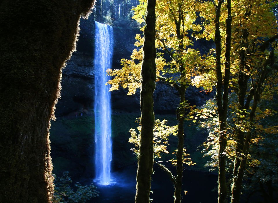 Oregonian's tweet photo. Once again, Oregon and Washington will waive all day use fees at state parks the day after Thanksgiving, in an event they have dubbed “Green Friday” and “Autumn Day,” respectively. 

https://t.co/jHAJ6DOkiT https://t.co/sXBheKXnuh