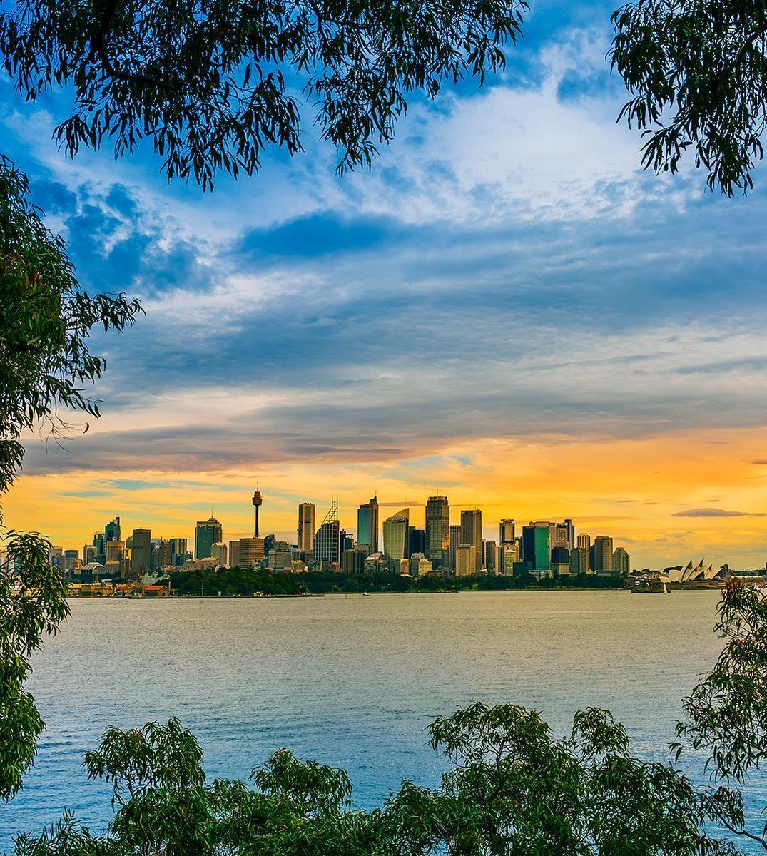 Australia's tweet image. Sydney, you’ve done it again! 💛 

(via IG/flashrollo watching the sunset from Mosmon's Ashton Park) #seeaustralia
