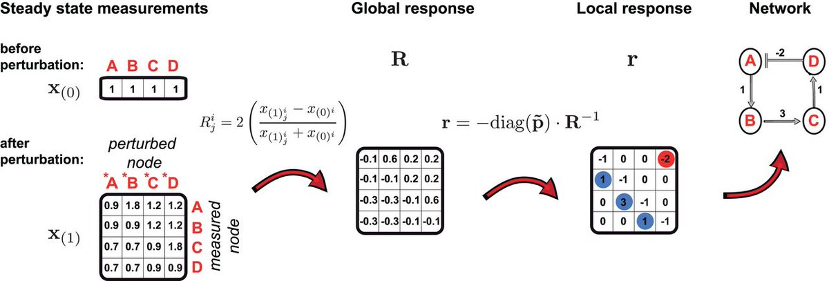 PPPublishing's tweet photo. #EssaysBiochem #EditorialPick Charlotte Ramon, Mattia G. Gollub and Jörg Stelling review integrating omics data into genome-scale metabolic network models https://t.co/yQjp9CqnSk @ISBSIB #systemsbiology https://t.co/yduVzDwDiZ
