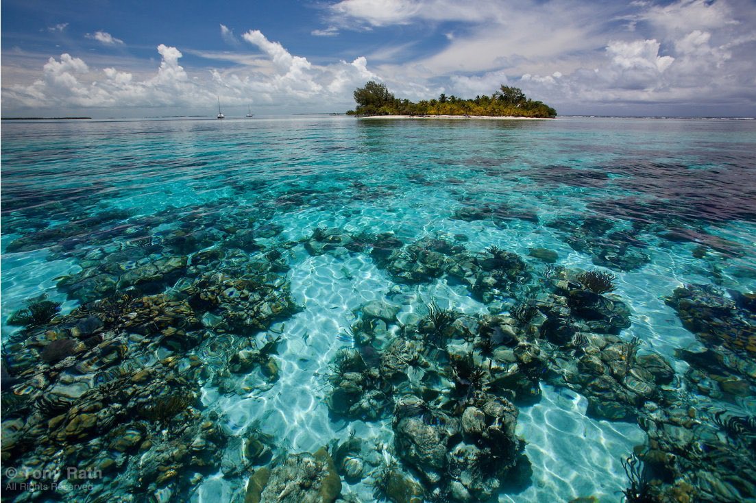 UNEP's tweet photo. Welcome to #CleanSeas, Belize! Home to the second-largest barrier reef in the world, 🇧🇿 has pledged to ban single-use plastic items, as well as styrofoam by April 2019. 
Here’s how other countries in the region are working to #BeatPlasticPollution: https://t.co/HXn0Rw4HNE https://t.co/skWPaCWNPH