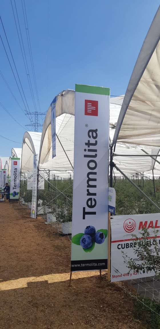 TERMOLITAH's tweet photo. #TERMOLITA #HORTIPERL #ExpoAgroalimentaria #expoagro2018 #Guanajuato TERMOLITA INVERNADERO #4 https://t.co/iPOqSzEik3