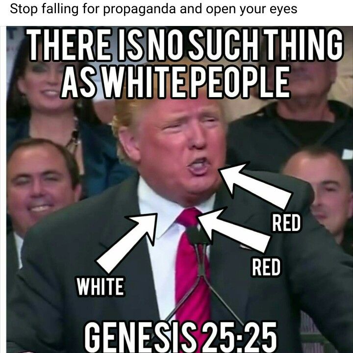 yahuahisyahuah's tweet photo. @Uziah_ @King_inBlck Are you convinced that Esau is the Caucasian Red Man now?
#Esau #edom #caucasian #MtSeir #CaucasusMountains #Petra #WhitePeople #Edomites #romans #idumeans #identityexposed #whitewash #Renaissance https://t.co/PfamMiTdTI