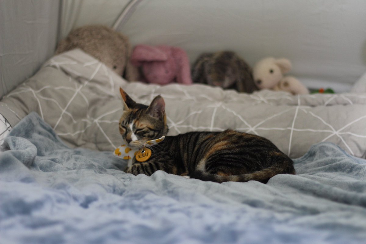 theqoo inserted image