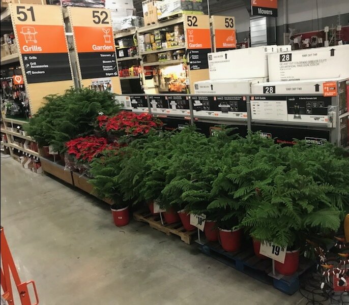 Rachaelray22's tweet photo. Our biggest movers bulked out and ready to go for our customers
#stackithigh @DillnerJennifer @kstolie @WentzelDoug @ https://t.co/gVh2EyYPwP