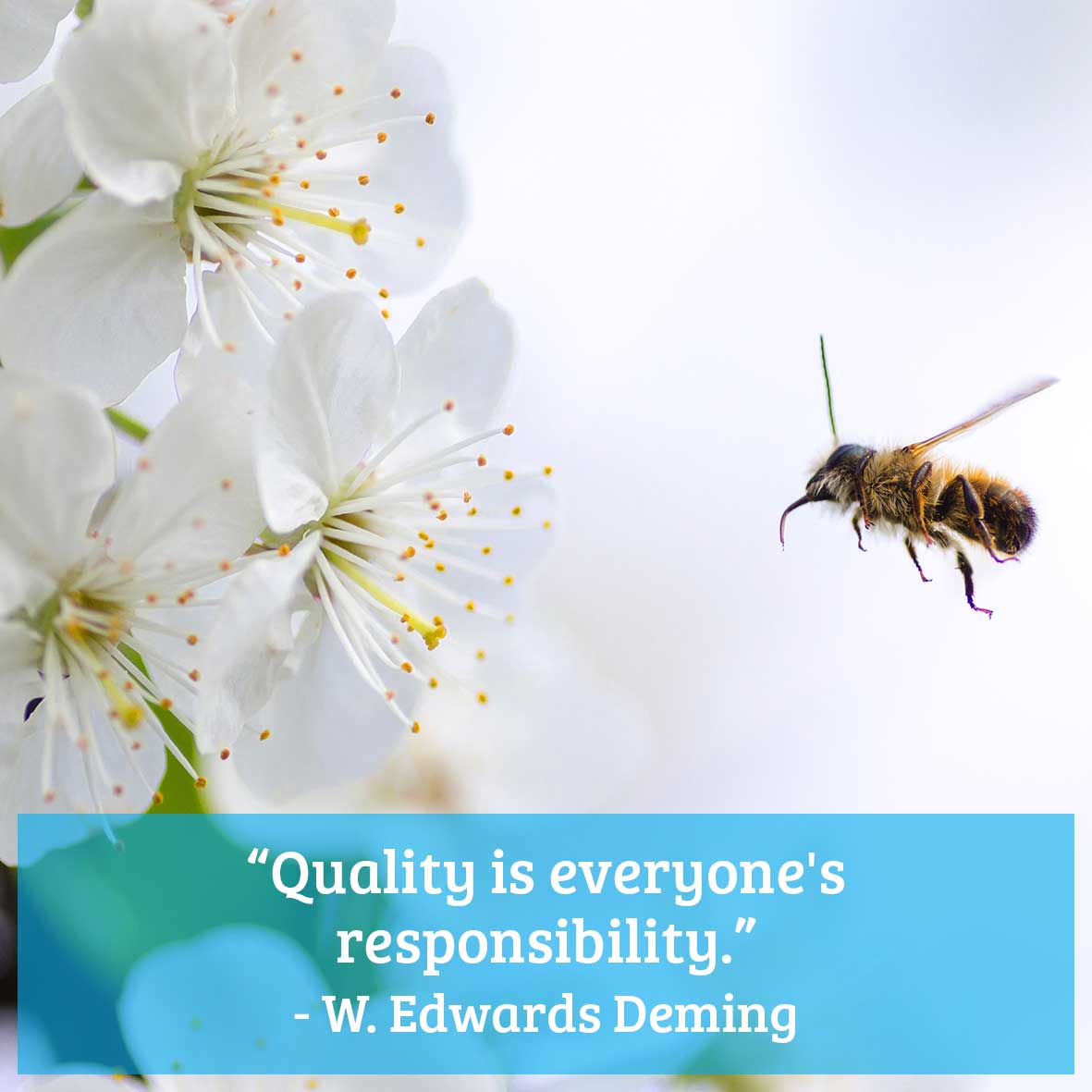 Fineline_Soluti's tweet photo. Weekly Inspiration from Fineline!
Call Tanya on 011 477 5408
Email: tanya@finelinesolutions.co.za
#FinelineSolutions #SlidingMirrorDoors #Wardrobes #InspirationalQuote #Motivation #FridayQuote #Quality #Responsibility #WEdwardsDeming https://t.co/FwLjGzCm8S