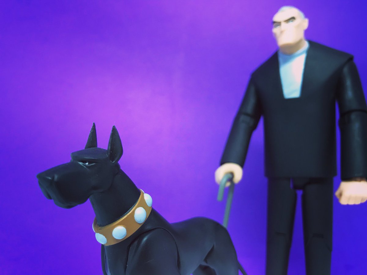 batmanbeyondpod's tweet photo. “Loyalty” is not the word for such a hound. Photo from co-host, Benjamin David @ComicBookIntl ... @DCComics #dccollectibles #acethebathound #oldbrucewayne Shoutout to our @dccollecticast !#brucewaynebatmanbeyond #brucewayne #dccollectibles #batmanbeyond https://t.co/AHyoILAfQL