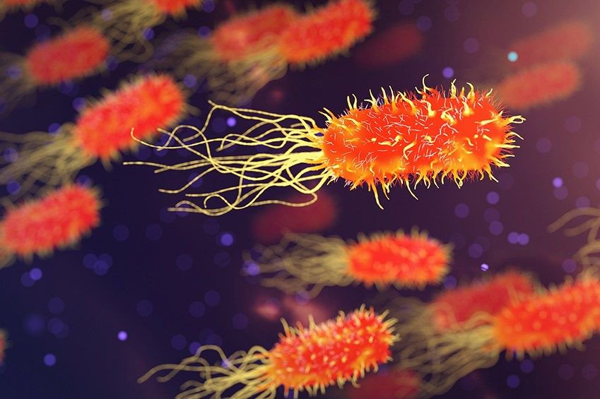 HygieneLabo's tweet image. Les bactéries pathogènes peuvent provoquer des maladies et des intoxications alimentaires en produisant des toxines dans l’aliment qui est ensuite mangé, et provoque des désordres : Staphylococcus aureus, Bacillus cereus, Clostridium botulinum buff.ly/2S2tr4D