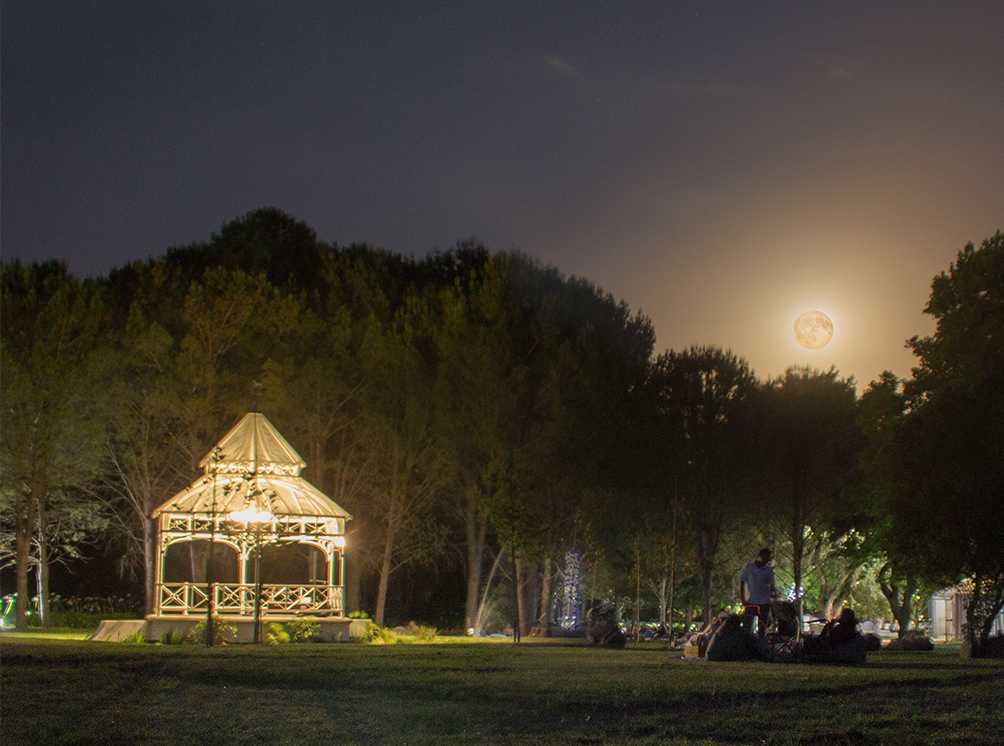 MontdorFransch's tweet photo. Full moon picnic at Boschendal. Spend the evening dining under the stars, sipping on wine and listening to live musichttp://bit.ly/2JmhWB6#boschendal #montdorhotels https://t.co/7cOuh1mhxV
