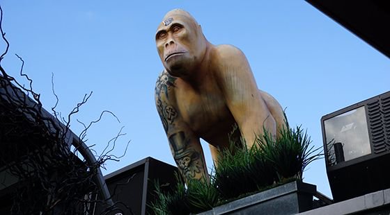 SecretSpaces_UK's tweet photo. Just how do you steal a 6ft fibre glass gorilla from a roof top? Unnoticed and in the middle of London as well. 🤷
#FindAce 
Help find Ace: Soho’s @karmasanctumldn hotel seeks return of stolen 6ft gorilla https://t.co/vDuK3R3rJg https://t.co/fGfuD6febu