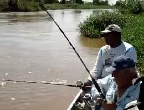 quanglv10's tweet photo. Alligator Almost Eat Him Alive! https://t.co/BSPZFnZzdH https://t.co/ImJLaPnhdd