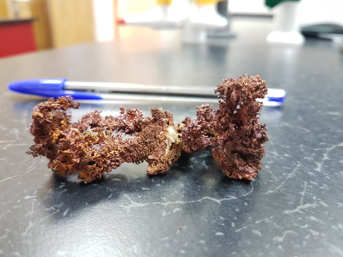 Andrestrujado's tweet photo. And because I have a soft spot for Copper metal I grew some copper metal trees YAY! #RealTimeChem #Chem4life #CrystalPic https://t.co/98nffcpORZ