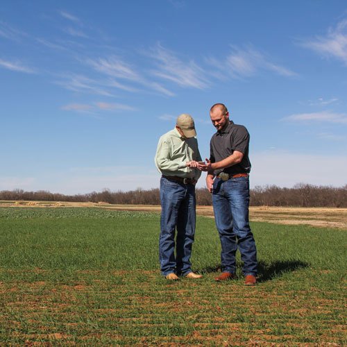 ProagricaGlobal's tweet photo. More than 75% of ag retailers are actively seeking improvements to their current systems. How can ag retailers and their suppliers work seamlessly together in a way that drives productivity and profit for both parties? https://t.co/IIE6ysqW3U #agribusiness #agriculture https://t.co/y4xZsqlTzm