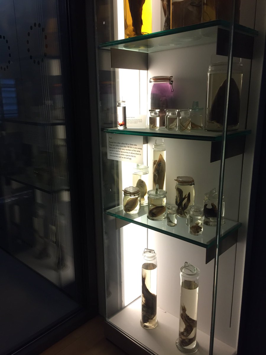 Dr_MTaylor's tweet photo. What a few days! @NHM_London @imperialcollege @challengersoc @RGS_IBG for @WeddellSeaExped This is @ResearchEssex #deepsea #expedition #samplesgalore #podcast #imgoinghomehappy #carryingethanolsamples #smellyontrain https://t.co/mdqUNJwBuK
