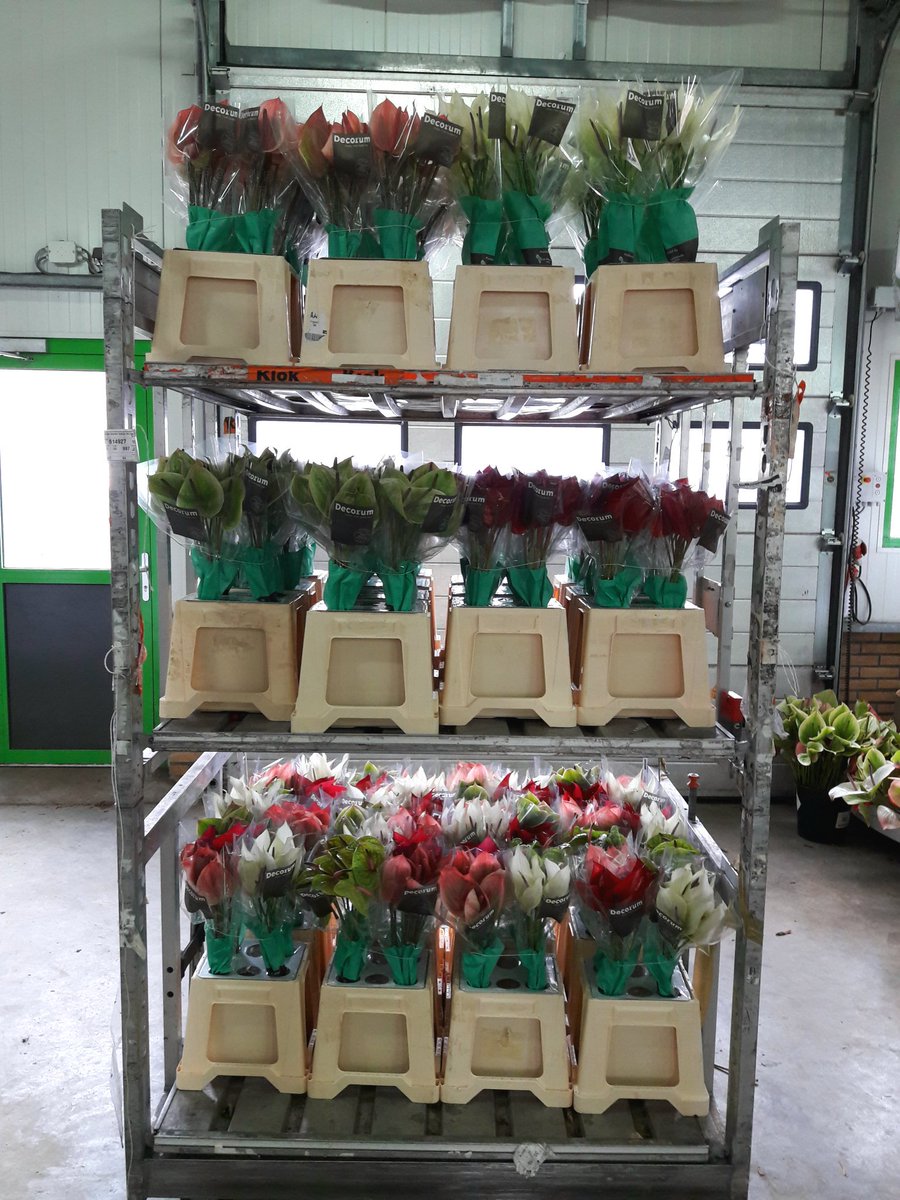 LeoKanthuriums's tweet image. The new way of life. #onwater.#Differentlengths.#Coldresistant.#inthemix Decorum Company