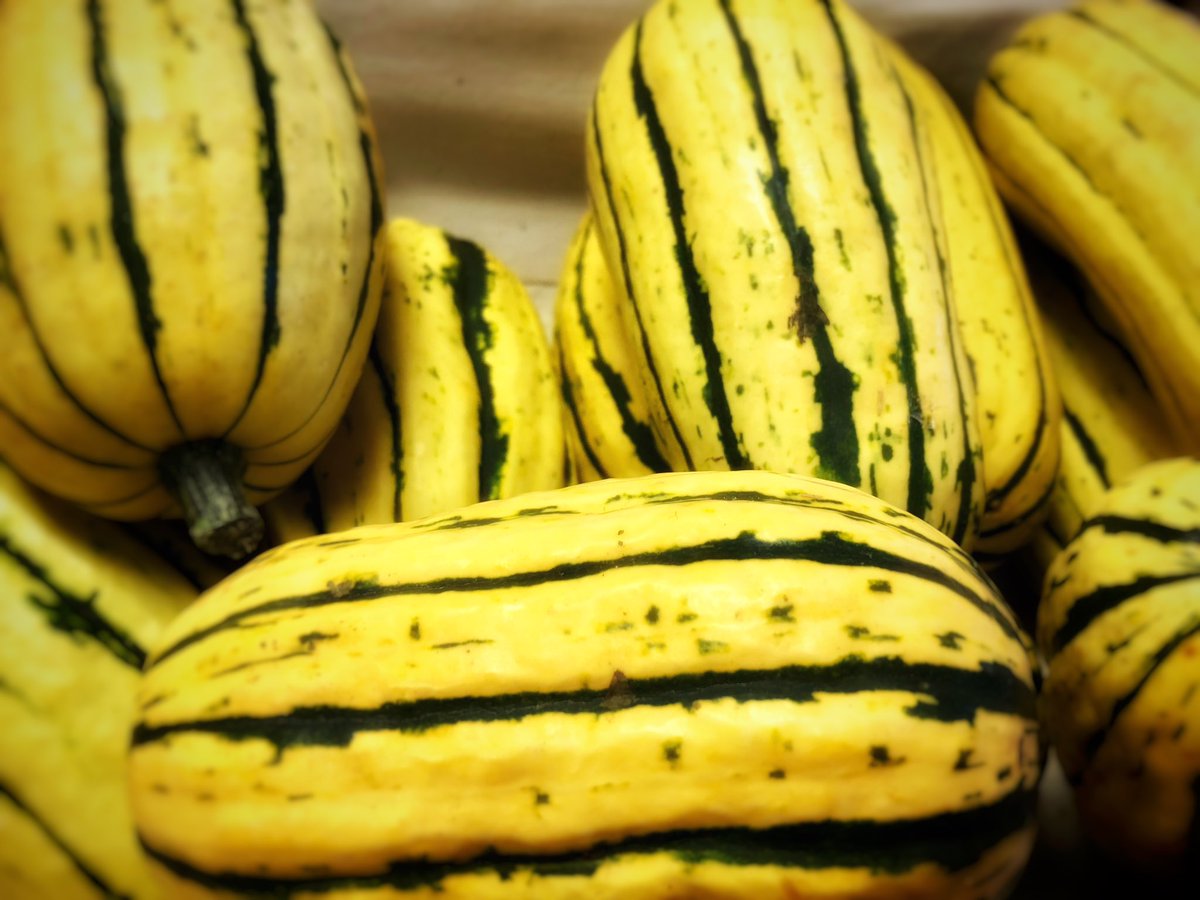 DbgFarmers's tweet photo. Fresh #localfood, delicious #valueadded products &amp; #artisangifts. Inside &amp; outside shopping, Sat. 9-Noon at 1 N. 2nd St. at Dbg. Senior Center. More info here:  https://t.co/eaO1RWHvZj #dillsburg #founditincv #shoplocal #shopsmall https://t.co/TYIyGIy2eF