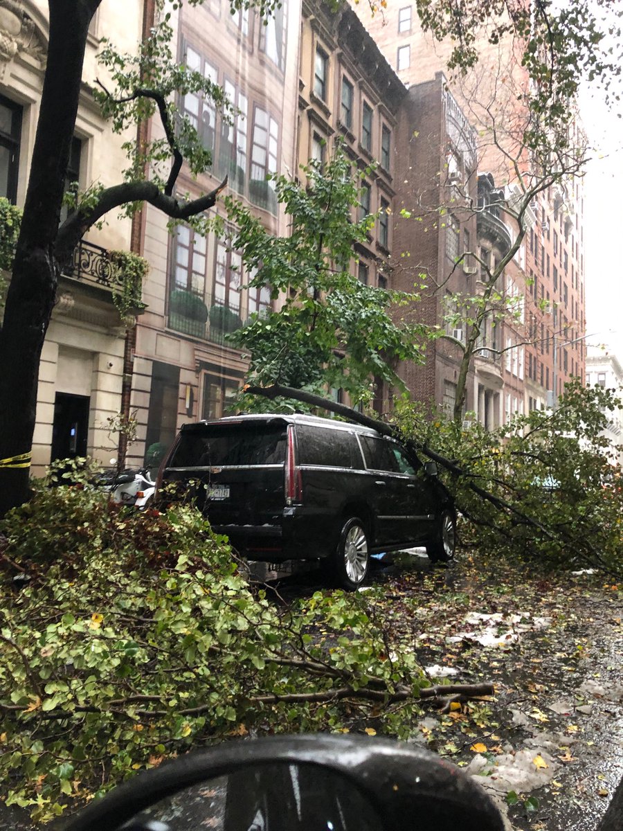 So many like this in my neighborhood in New York City