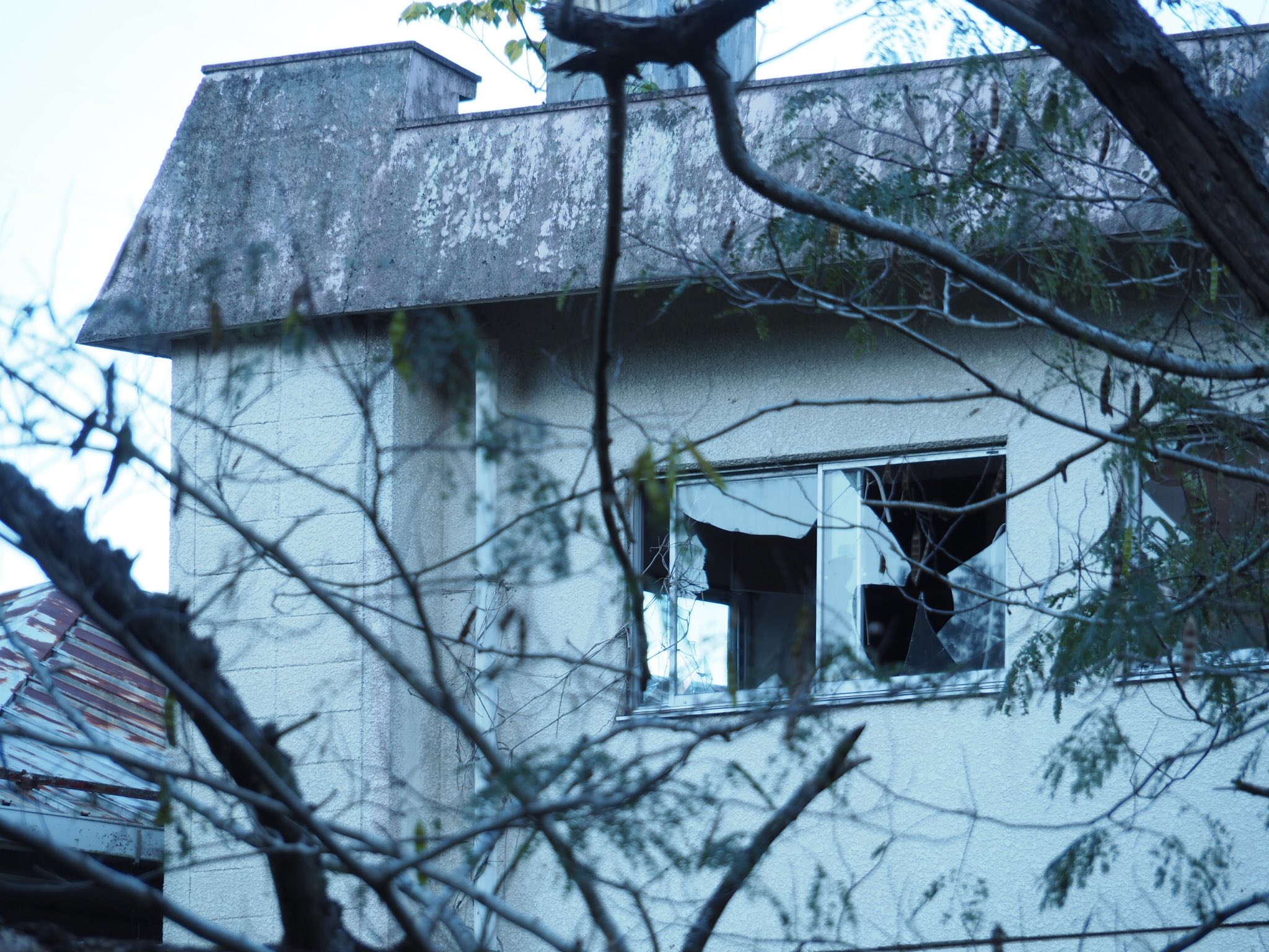 蜂鈴 Twitterren 廃墟 埼玉県入間郡毛呂山町鎌北湖湖畔某所 旅館 山水荘 当時流行りの円形型の本館が建っていたもの11年の不審火によって消失 現在は別館部分が残るのみ また心霊スポットとしても有名な為 イタズラや不法投棄も多く噂話は絶えない 蜂鈴 Twitterren 廃墟 埼玉県入間郡毛呂山町鎌北湖湖畔某所 旅館 山水荘 当時流行りの円形型の本館が建っていたもの11年の不審火によって消失 現在は別館部分が残るのみ また心霊スポットとしても有名な為 イタズラや不法投棄も多く噂話は絶えない