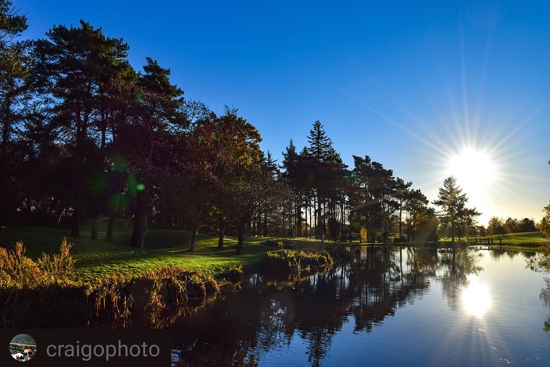 druidsglen's tweet photo. #FridayFavourite
A stunning photo on The Glen.
#WakeUpInWicklow #DruidsGlen #WicklowGolfCourse #GolfWicklow @visitwicklow
πΈ @craigophoto https://t.co/x7bmtVQEgI